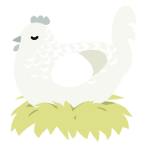 A white chicken with a half-lace pattern