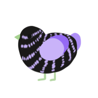 Dys, a sable and lilac chicken with a bar pattern