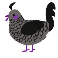A grey and black chicken with a lace pattern