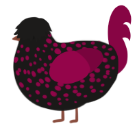 A sable and maroon chicken with a speckle pattern