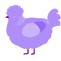 A lilac chicken with a neck-band pattern