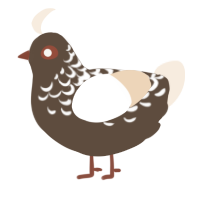 A bark and cream chicken with a half-lace pattern