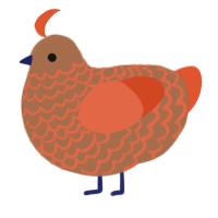 A brown and vermilion chicken with a lace pattern