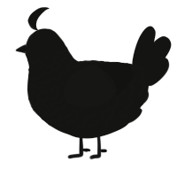 A black chicken with a lace pattern