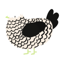 A cream and black chicken with a lace pattern