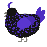 A black and indigo chicken with a speckle pattern