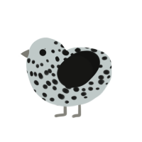 Waterboarded Freaq, a silver and black chicken with a speckle pattern