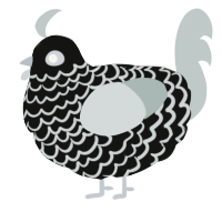 A black and silver chicken with a lace pattern