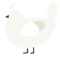 A white chicken