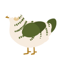 A cream and olive chicken with a half-bar pattern