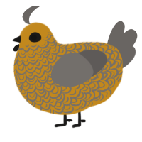 A ochre and grey chicken with a double-lace pattern