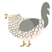 A cream and ash chicken with a lace pattern