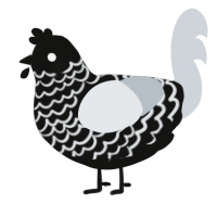 A black and mist chicken with a lace pattern