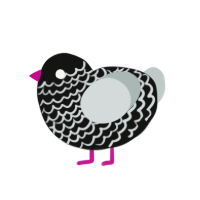 (unnamed), a black and silver chicken with a lace pattern