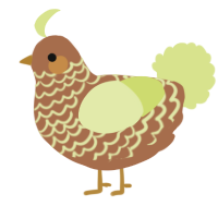 A brown and lemon chicken with a lace pattern