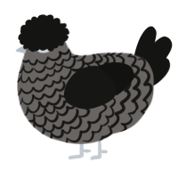 A grey and black chicken with a lace pattern