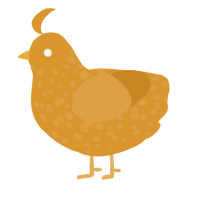 A orange chicken with a speckle pattern