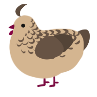 A beige and bark chicken with a half-lace pattern