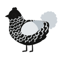 A black and mist chicken with a lace pattern