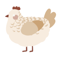A cream and beige chicken with a half-lace pattern
