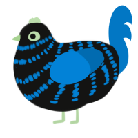A black and sapphire chicken with a bar pattern