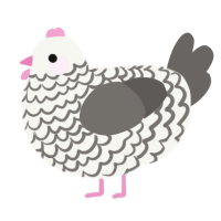 A white and grey chicken with a lace pattern