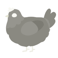 A ash chicken with a head pattern