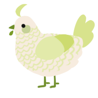 A cream and lemon chicken with a lace pattern