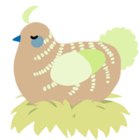 A beige and apple chicken with a half-bar pattern