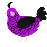 A amethyst and black chicken with a lace pattern
