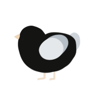 Appeal, a black and mist chicken