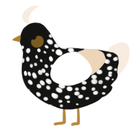 A black and cream chicken with a speckle pattern