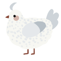 A white and mist chicken with a speckle pattern