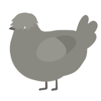 A ash chicken