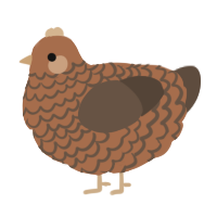 A brown and bark chicken with a lace pattern