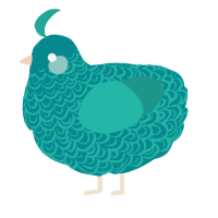 A teal and turquoise chicken with a double-lace pattern