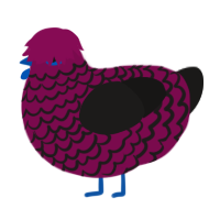 A wine and sable chicken with a lace pattern