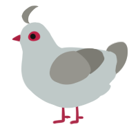 A silver and ash chicken