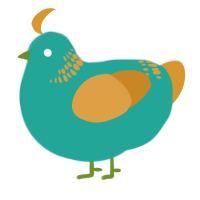 A turquoise and orange chicken with a neck-band pattern