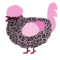 A black and pink chicken with a double-lace pattern