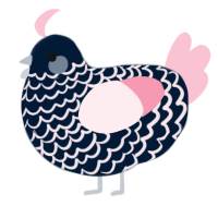 A tumblr and rose chicken with a lace pattern
