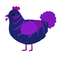 A navy and violet chicken with a half-bar pattern