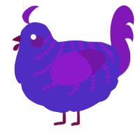 A indigo and violet chicken with a half-bar pattern