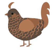 A bark and brown chicken with a lace pattern