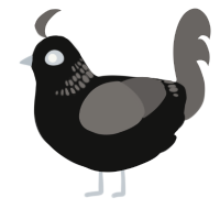 A black and grey chicken with a neck-band pattern