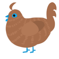 A brown chicken with a bar pattern