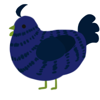 A navy and tumblr chicken with a bar pattern
