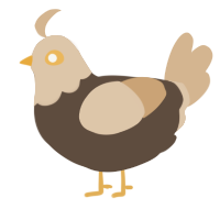 A bark and beige chicken with a head pattern