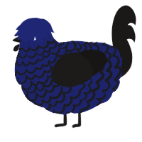 A navy and sable chicken with a lace pattern