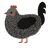 A grey and black chicken with a double-lace pattern